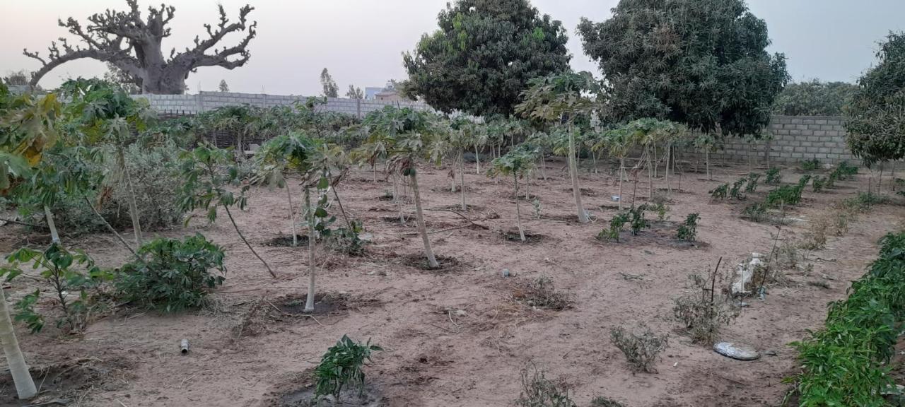 Saly Lrad Le Village Ngaring Exteriér fotografie