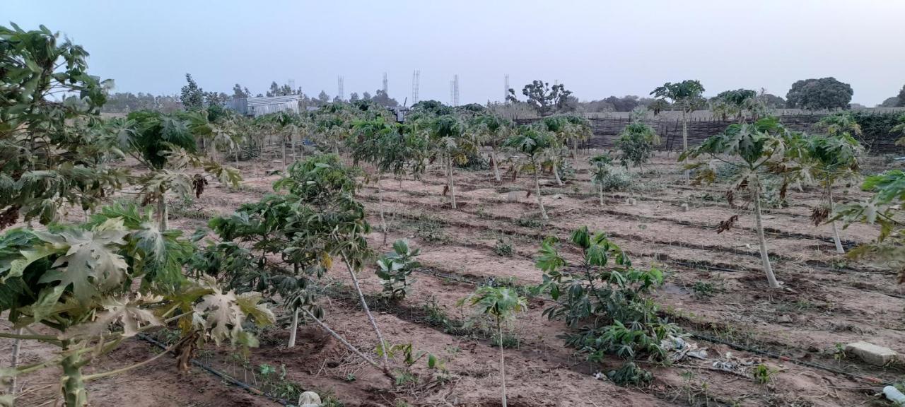 Saly Lrad Le Village Ngaring Exteriér fotografie