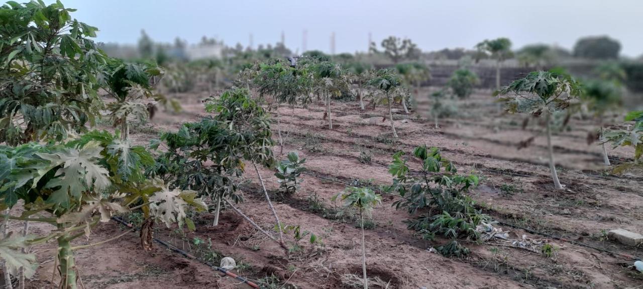 Saly Lrad Le Village Ngaring Exteriér fotografie